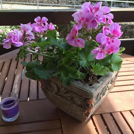 شقة El Portiellu *