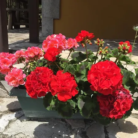 El Portiellu شقة *